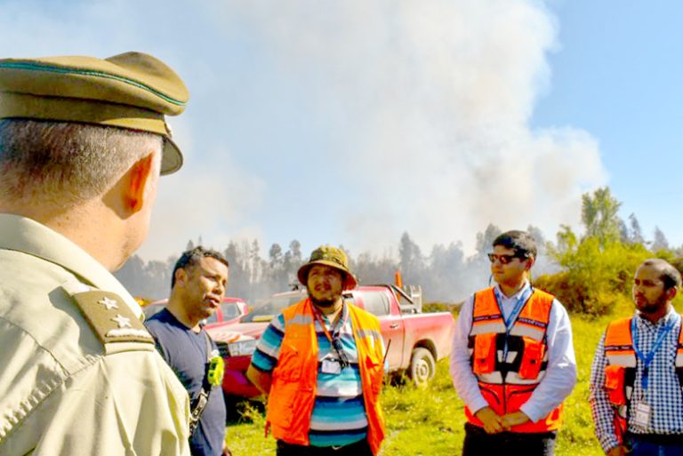 Familias debieron ser evacuadas por incendio forestal en Teno