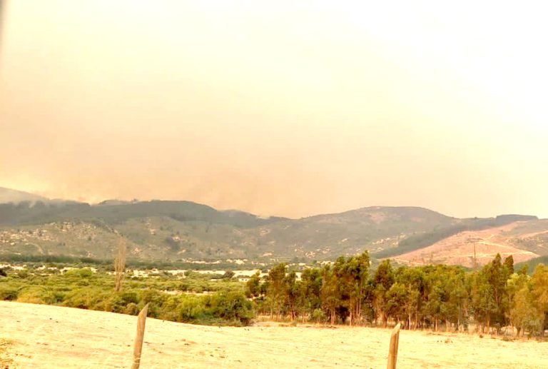Curicó y Linares presentan peor calidad del aire por humo de incendios forestales