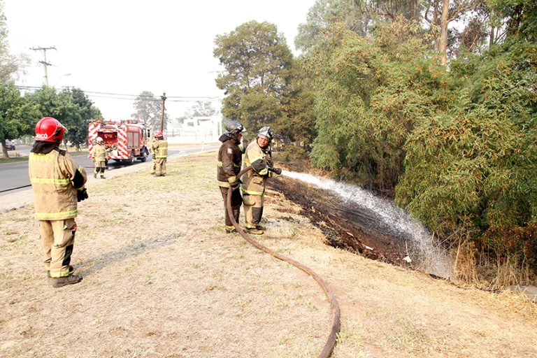 Sector Zapallar: Alerta y preocupación entre vecinos ante constantes incendios de pastizales