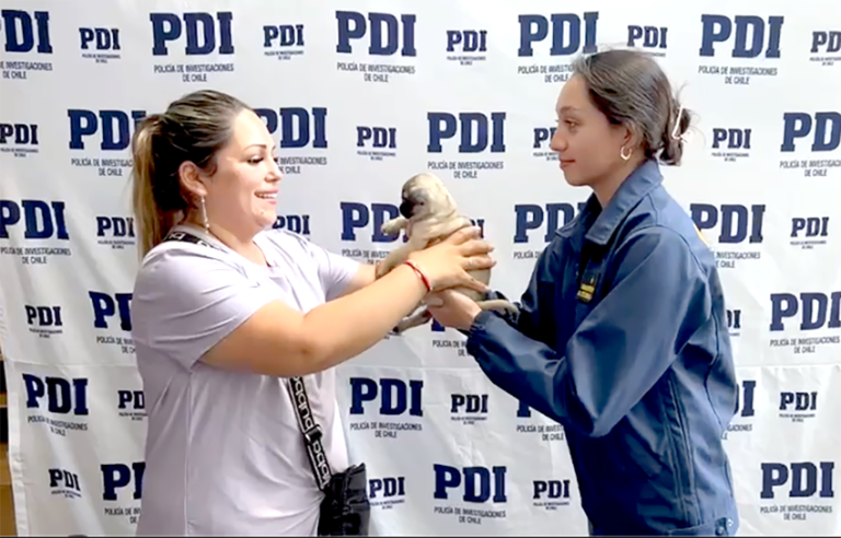 Mascota vuelve a manos de su dueña