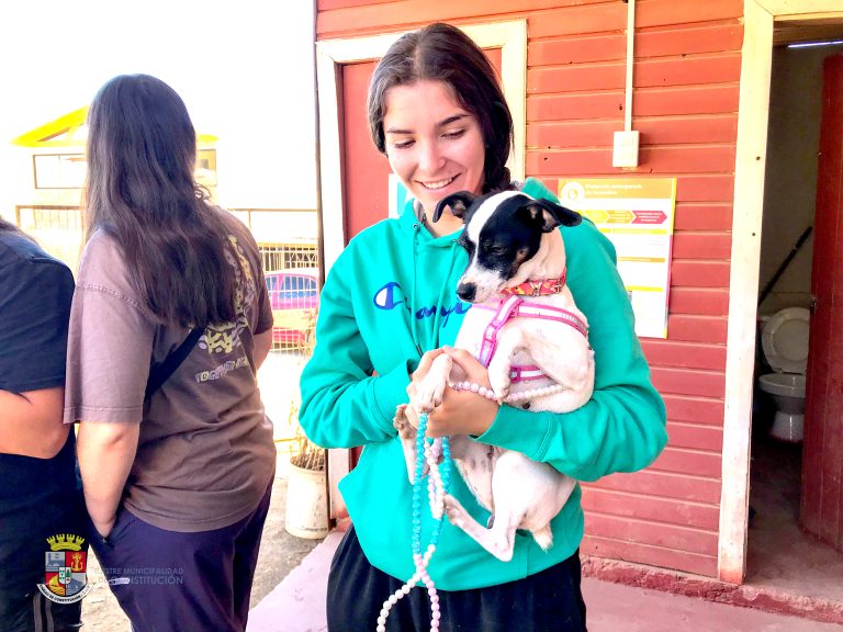 Dan inicio a programa de esterilización gratuita para perros y gatos en Constitución