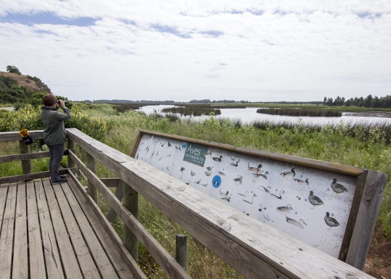 Humedales: Ecosistemas frágiles, imprescindibles para la supervivencia de muchas especies