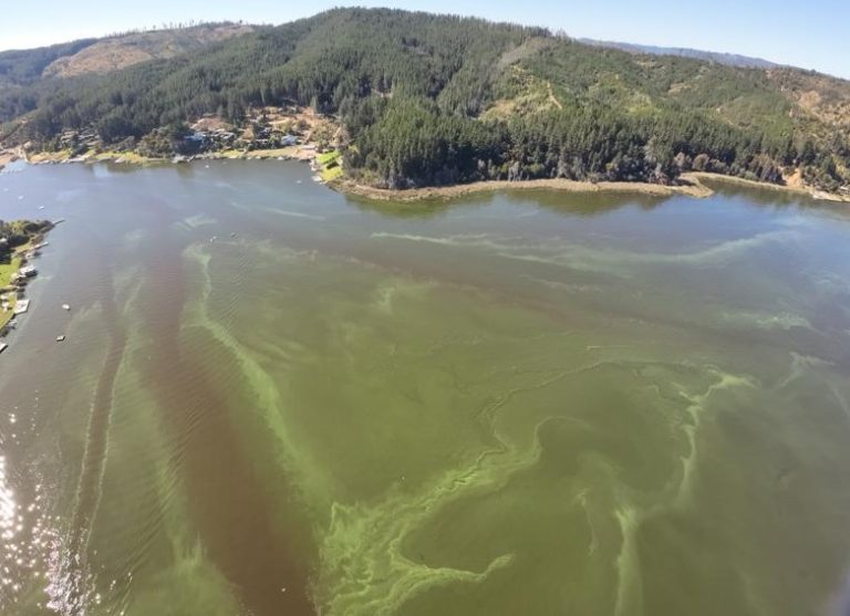 Alcalde por actual condición del lago Vichuquén: “Se está dando el mismo escenario que el 2015”