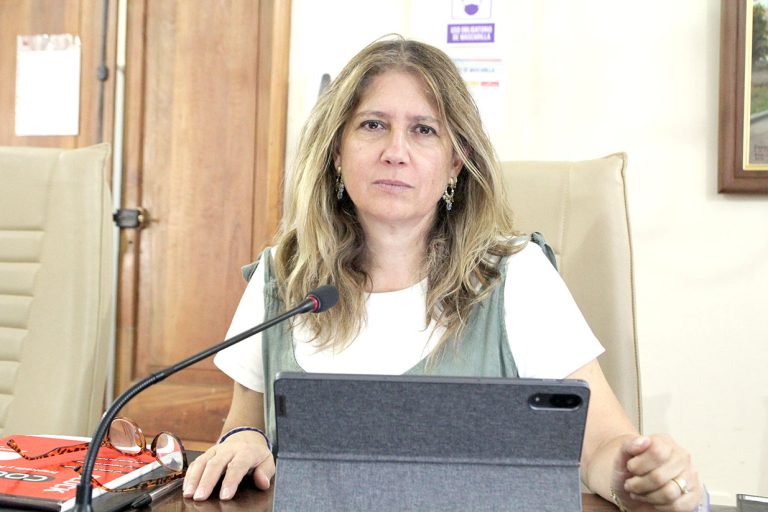Concejala pide mesa de trabajo más inclusiva para combatir la delincuencia en Curicó