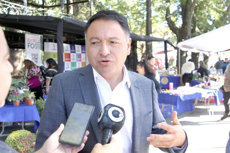 Confirman muerte de dos lobos marinos por gripe aviar en Licantén