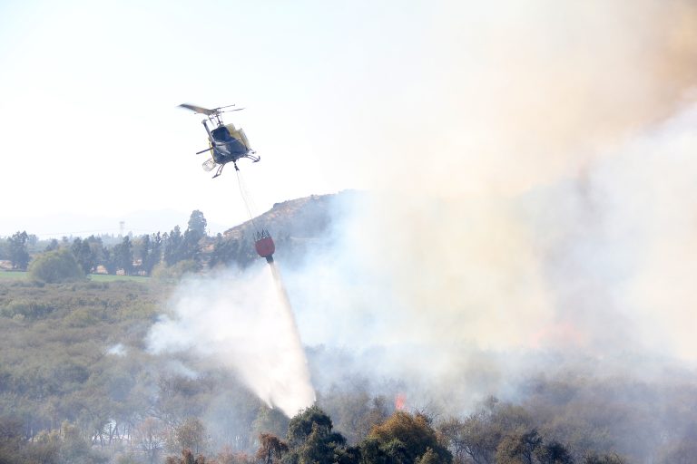 Decretan Alerta Roja por incendio forestal en la comuna de Curicó