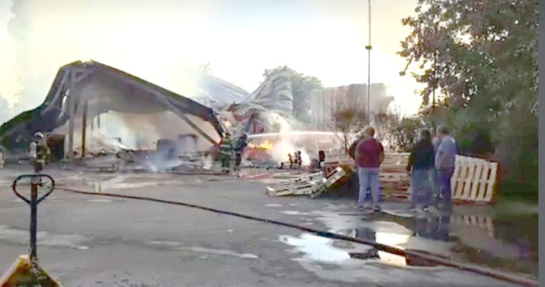 Incendio dejó millonarias pérdidas en la localidad de Los Niches