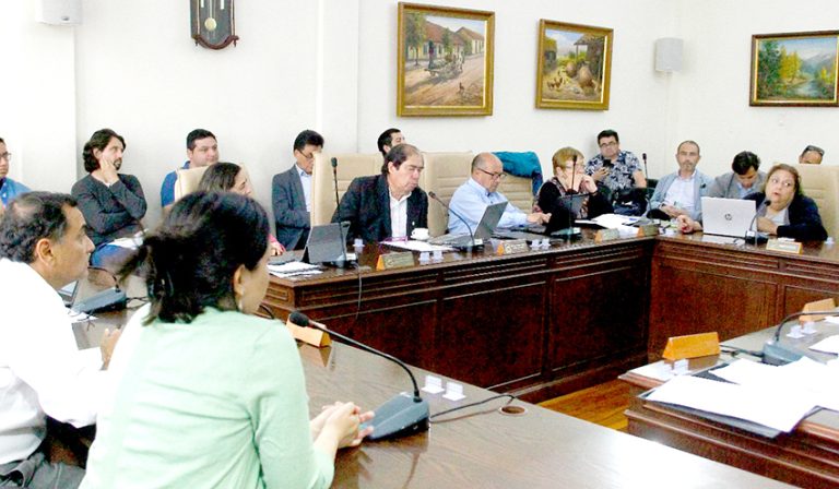 Solicitudes de subvenciones tratará concejo municipal de Curicó