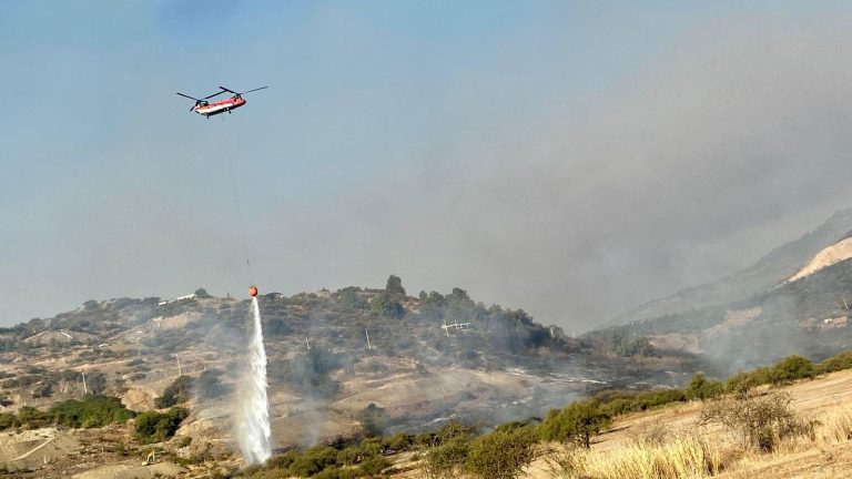 Contenido incendio forestal en Los Cristales