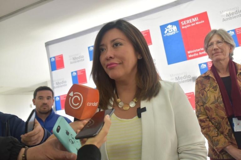 Prohíben la utilización de salamandras o estufas “hechizas” en seis comunas de la provincia de Curicó