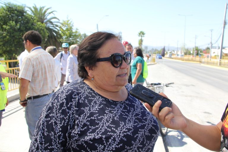 Vecinos solicitan la habilitación de una pasarela peatonal en avenida Alessandri
