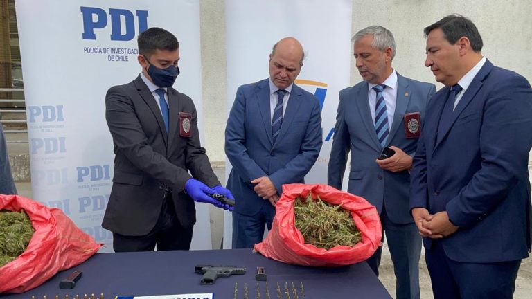 Descubren plantaciones de marihuana en predios forestales