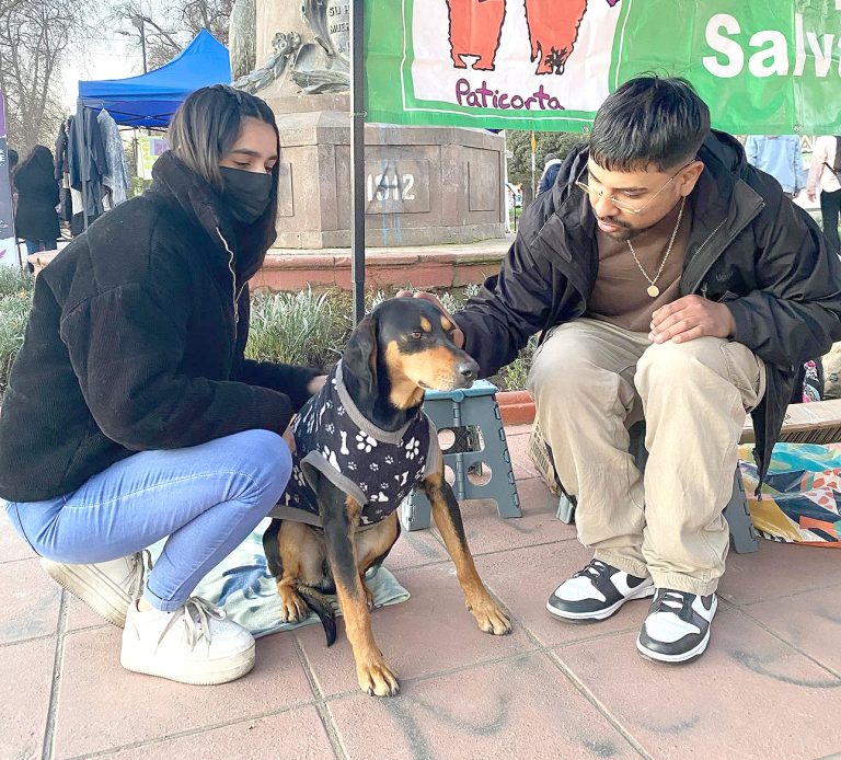 Maltrato animal: Muestra lo peor de las personas