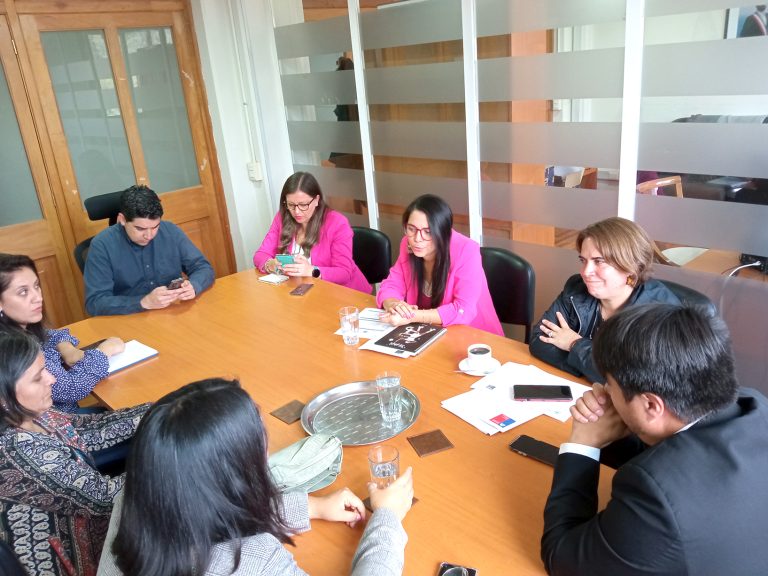 Nueva directora de SernamEG en el Maule condenó femicidio que se registró en Parral