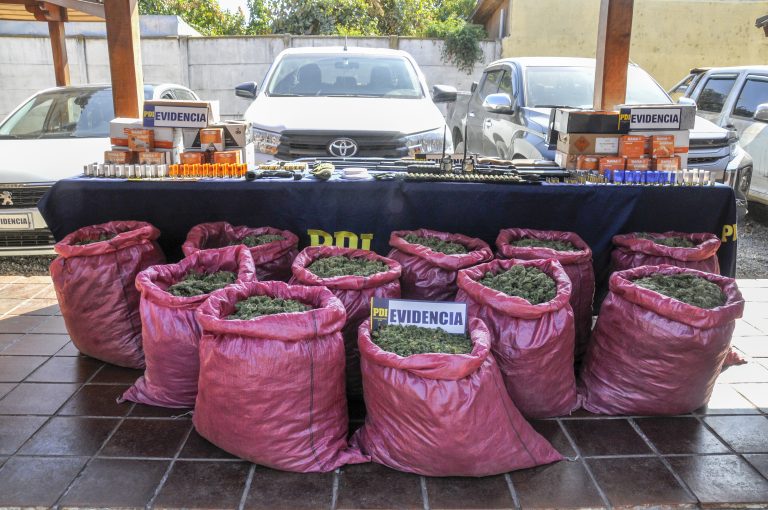 En plena precordillera de Molina decomisan marihuana avaluada en 400 millones de pesos