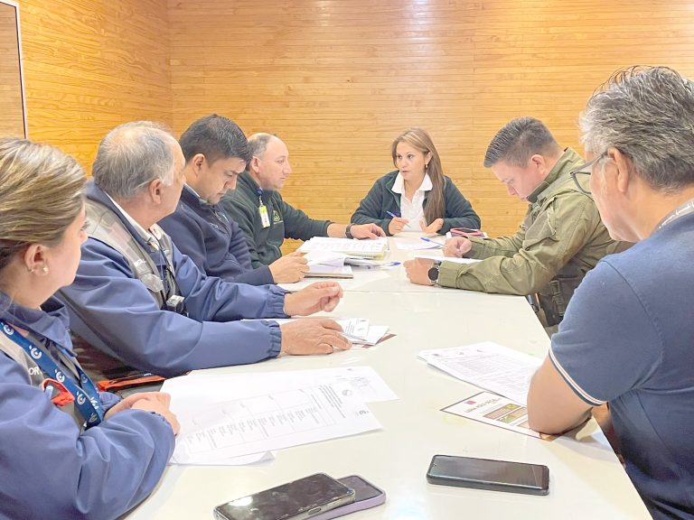 Comenzó en la comuna de Curicó la fiscalización al comercio leñero