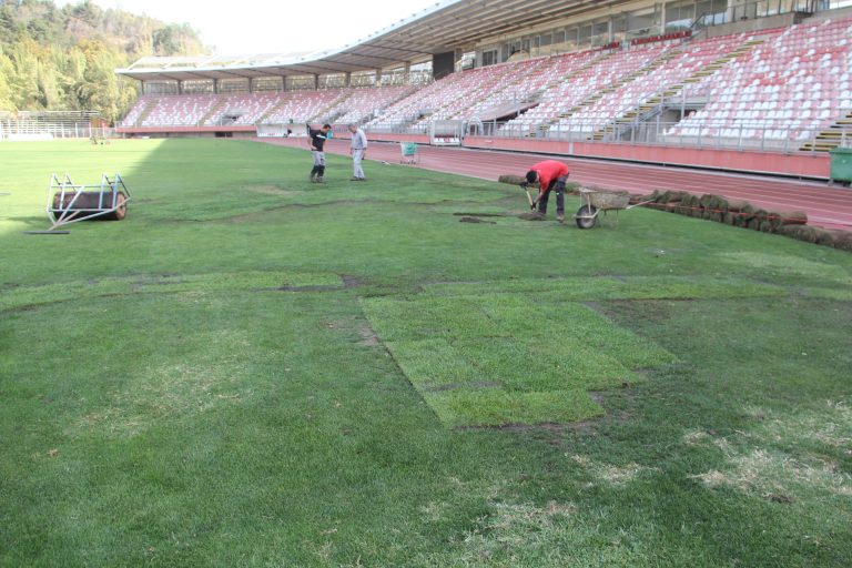 Las teorías que se barajan para explicar el actual estado de la cancha del estadio La Granja