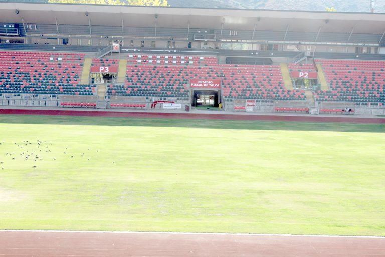 Fiscal de Talca en proceso de recuperación del césped