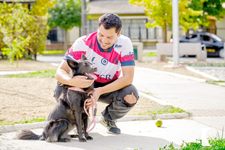 Impulsan campaña para mejorar la calidad de vida de los callejeritos