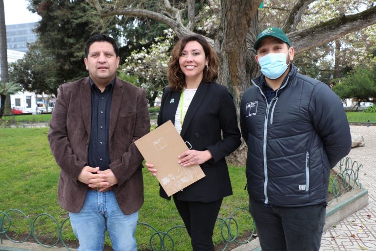 Decretan primera Alerta Ambiental para Talca y Maule por malas condiciones de ventilación