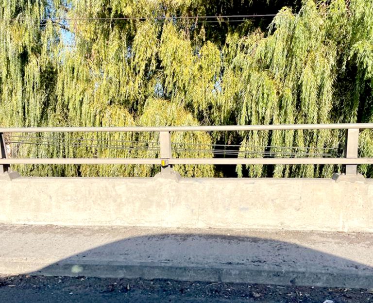 Advierten peligro en el río Guaiquillo por árboles sin podar o cortar