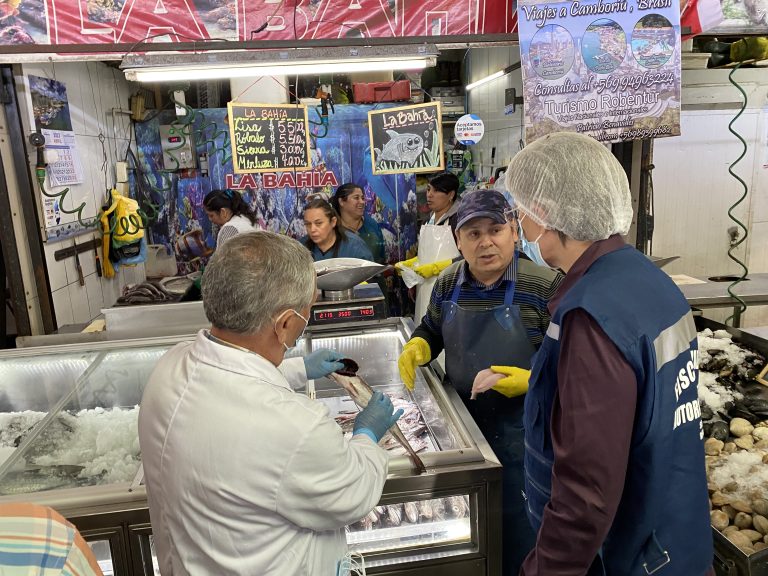 Desde lugares establecidos: Autoridades reiteran recomendación para adquirir pescados y mariscos