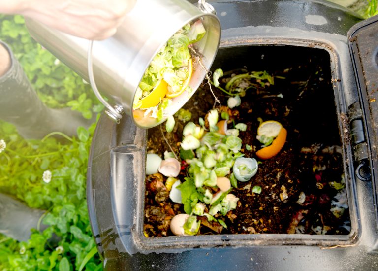 Promueven la revalorización de los desechos domiciliarios