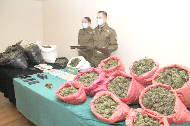Decomisaron marihuana avaluada en cerca de 700 millones de pesos
