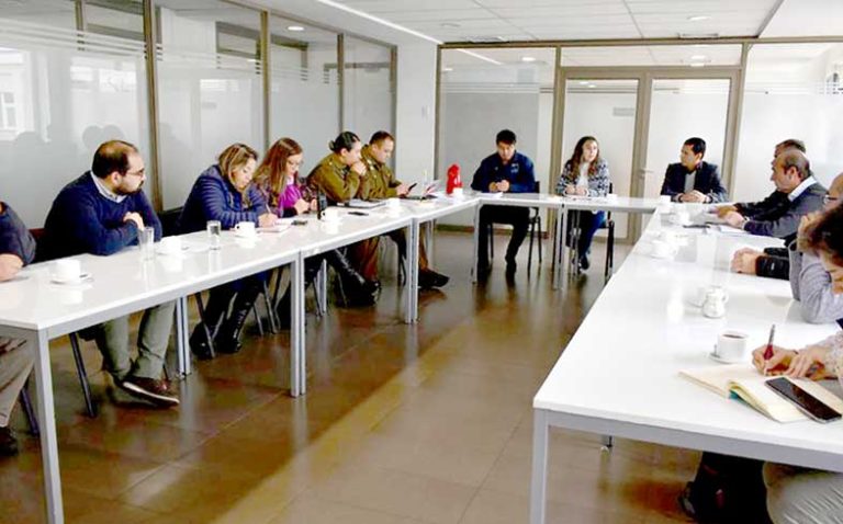 Abordan problemática de caballos sueltos en la vía pública