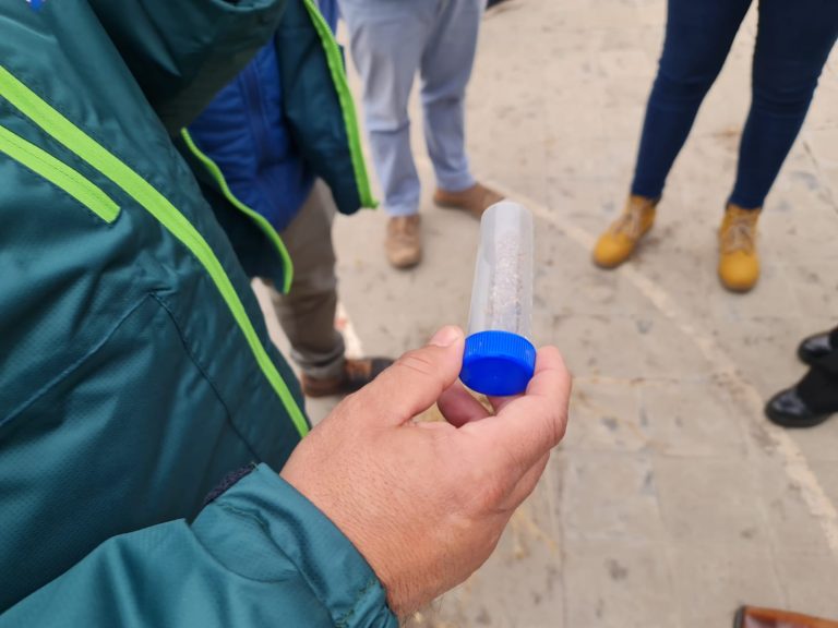 SAG será el encargado de confirmar o descartar la presencia de termitas en escuela Balmaceda