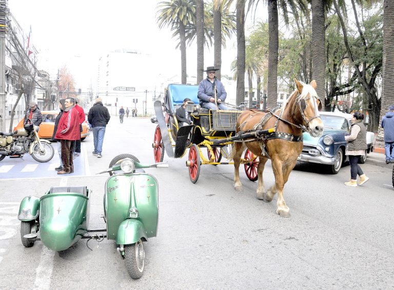 Curicanos disfrutaron de múltiples actividades en el Día de los Patrimonios