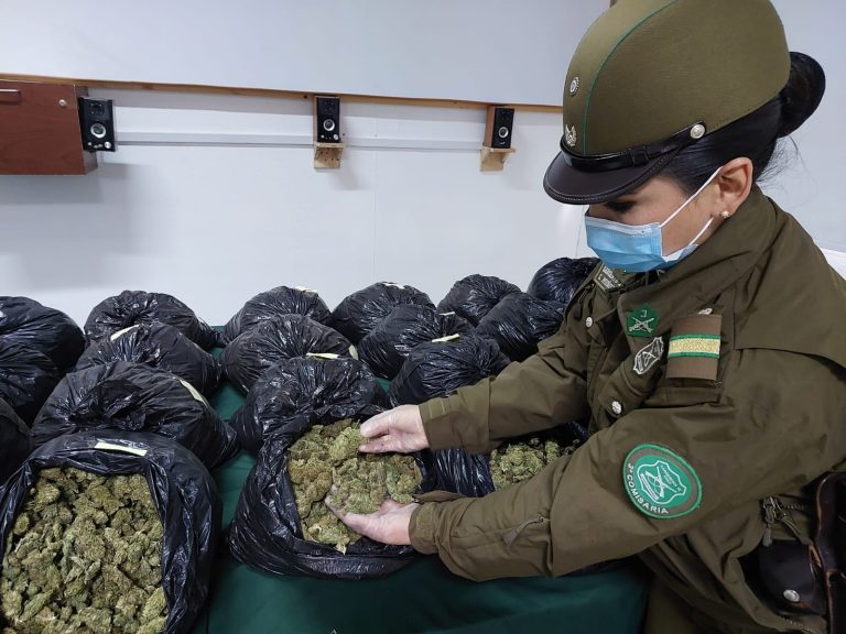 Incautan más de 137 kilos de marihuana desde un vehículo en carretera