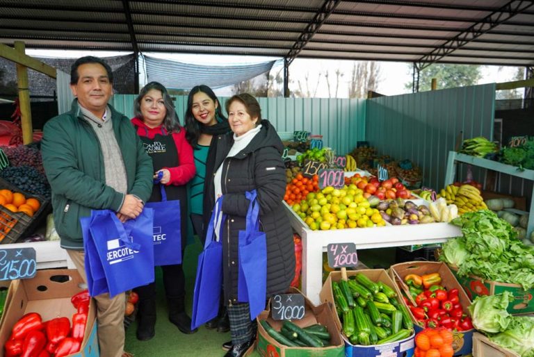 Anuncian la apertura de las postulaciones a fondo concursable para ferias libres