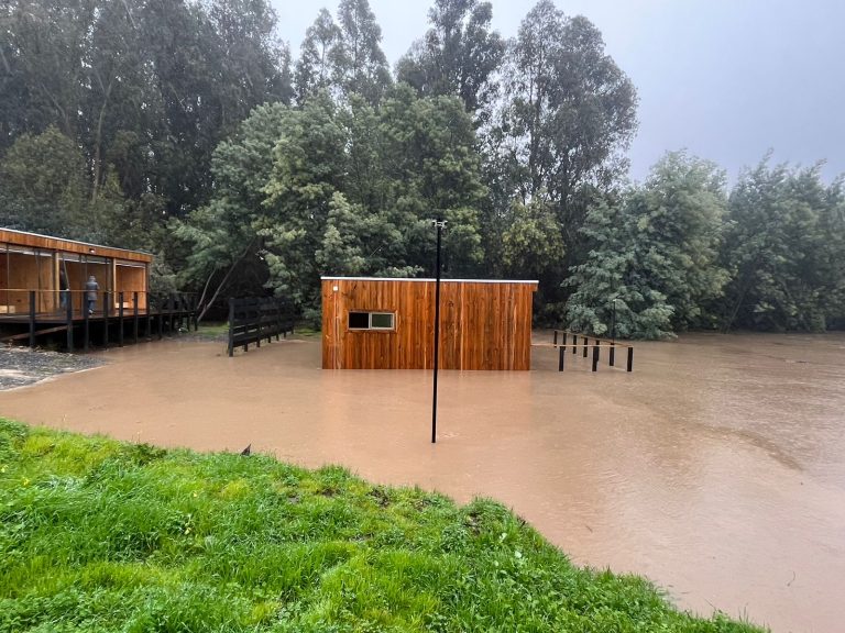 Zonas pobladas aledañas a la ribera del río Maule sufrieron los efectos de la crecida de las aguas