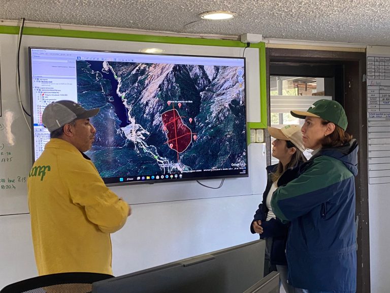 Combaten incendio forestal en zona precordillerana de Linares