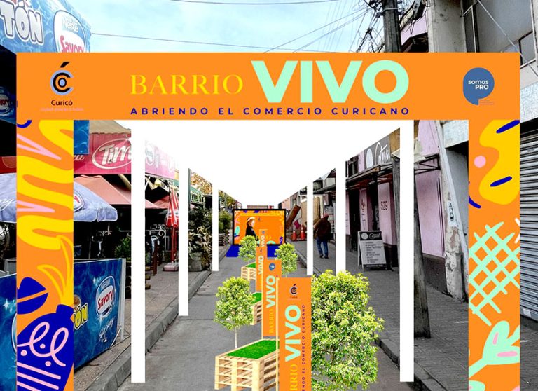 Desde hoy y hasta el viernes habilitan vitrina para comerciantes en pleno centro de Curicó