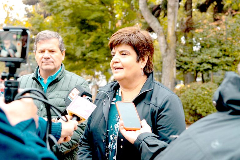 Formulan balance de los primeros días del Consejo Constitucional