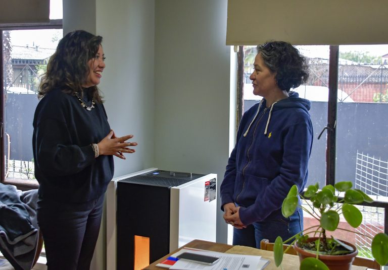 Constatan positivo impacto asociado a programa de recambio de calefactores