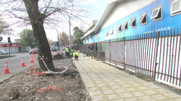 Recuperación de veredas en avenida San Martín cuenta con 60% de avance