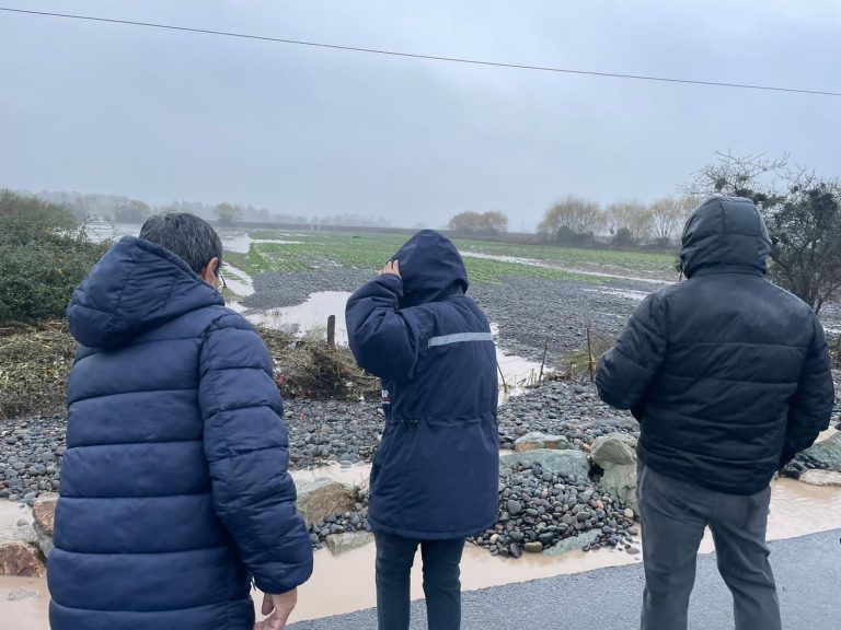 La agricultura, el otro gran damnificado dejado por lluvias y las crecidas de ríos