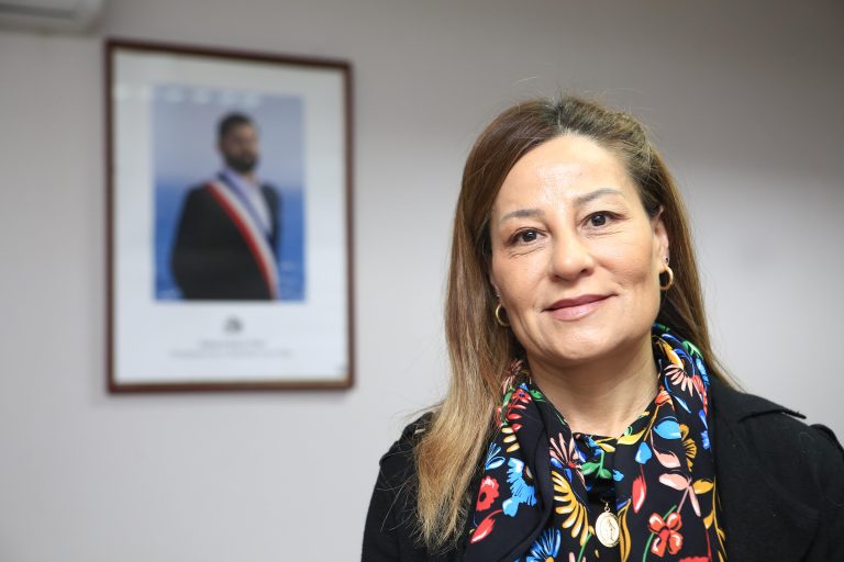 Las prioridades para la nueva seremi de Transportes y Telecomunicaciones