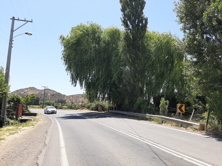 Anuncian recapado para la principal ruta costera de la provincia de Curicó