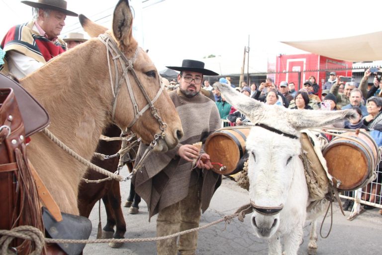 La “burrita” que se robó la película en el aniversario de Sarmiento