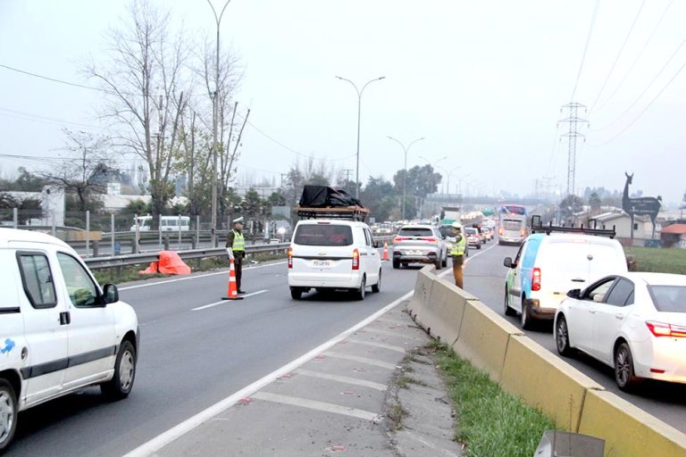 Mujer murió atropellada en la Ruta 5 Sur frente a Curicó