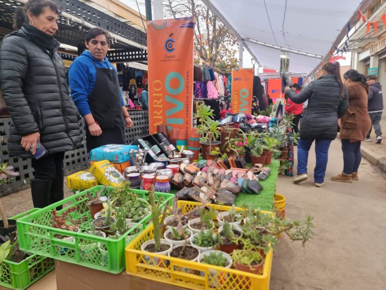 Sacan cuentas alegres por “Barrio Vivo” en calle Mónica Donoso
