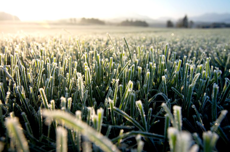 Fenómeno de El Niño: ¿traerá heladas para la agricultura de la zona central de Chile?
