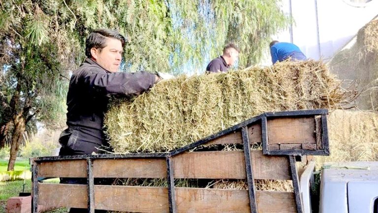 Entregan forraje para animales a afectados tras sistema frontal