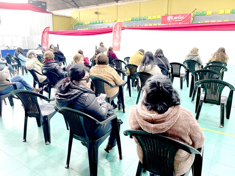 Más de 130 molinenses participaron  en operativo de medicina mapuche