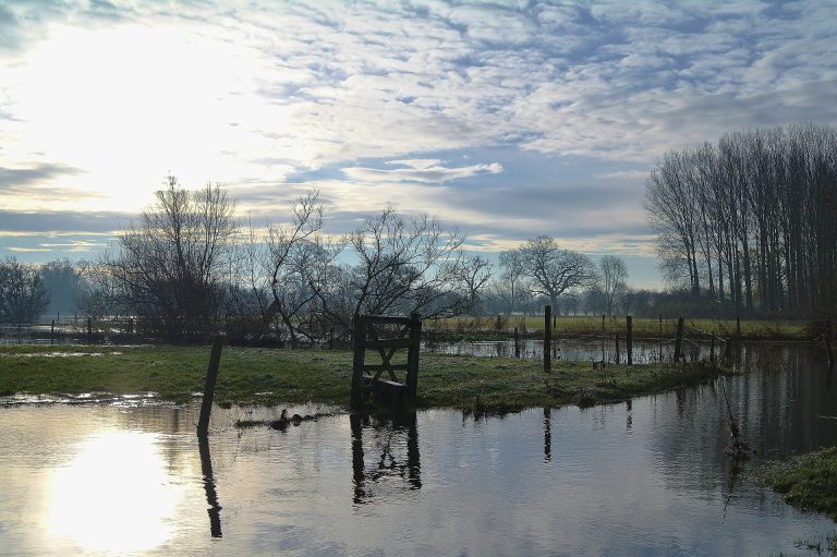 Entrega de incentivos focalizados y directos a los pequeños agricultores será más que clave