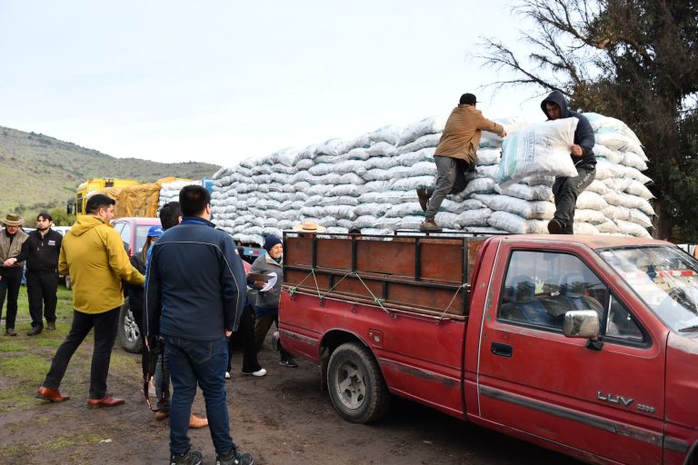 Productores afectados por temporal recibieron alimentos para sus animales